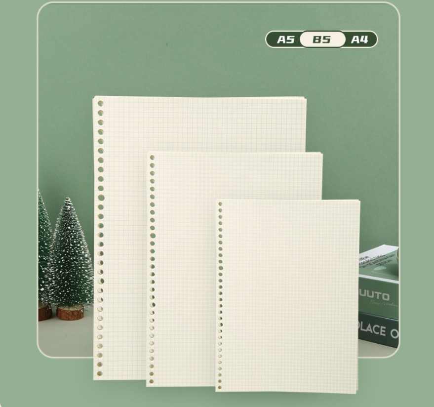 A5 B5 Line Grid 20Holes Loose- - A5 Spiral Dotted Grid Notebook recension och pris