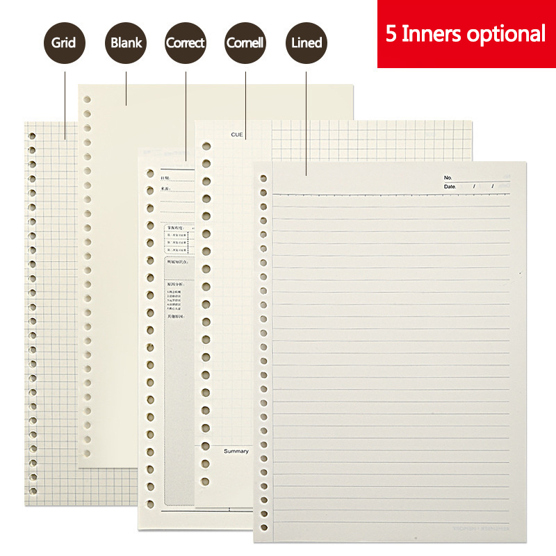 A5 B5 20Holes Loose-Leaf Noteb - A5 Spiral Dotted Grid Notebook recension och pris