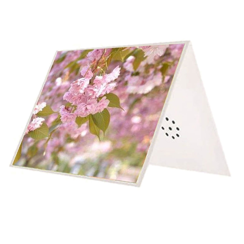 Talking Product, Writeable Gre - Blank Sheet Music Notebook recension och pris